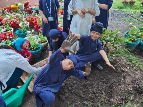 plantation drive by grade IV